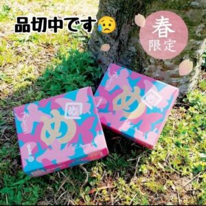 Read more about the article 春限定の『てふてふめんべい』品切中