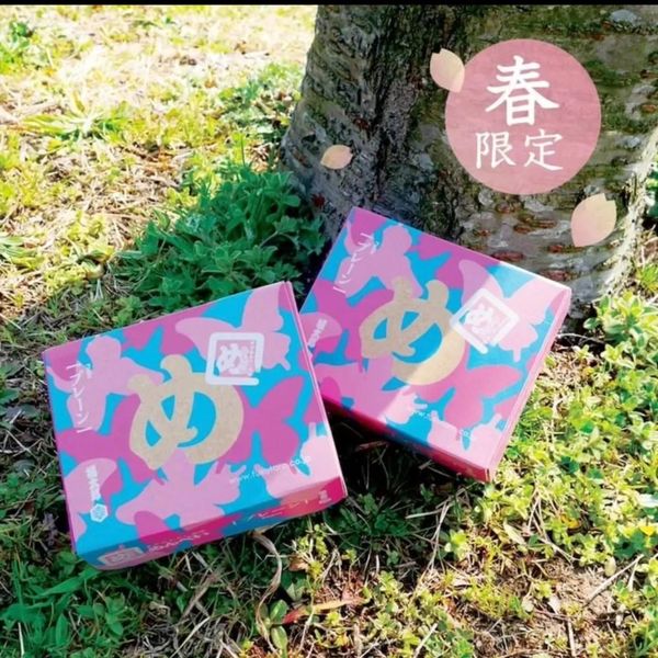 Read more about the article 春限定のめんべい”てふてふ柄”『入荷』