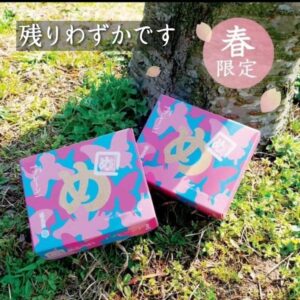 Read more about the article 春限定のてふてふめんべい『残りわずか』