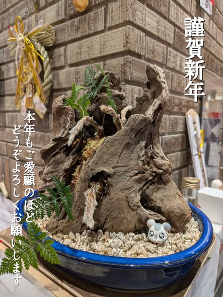 投稿についてもっと詳しく 明けましておめでとうございます。